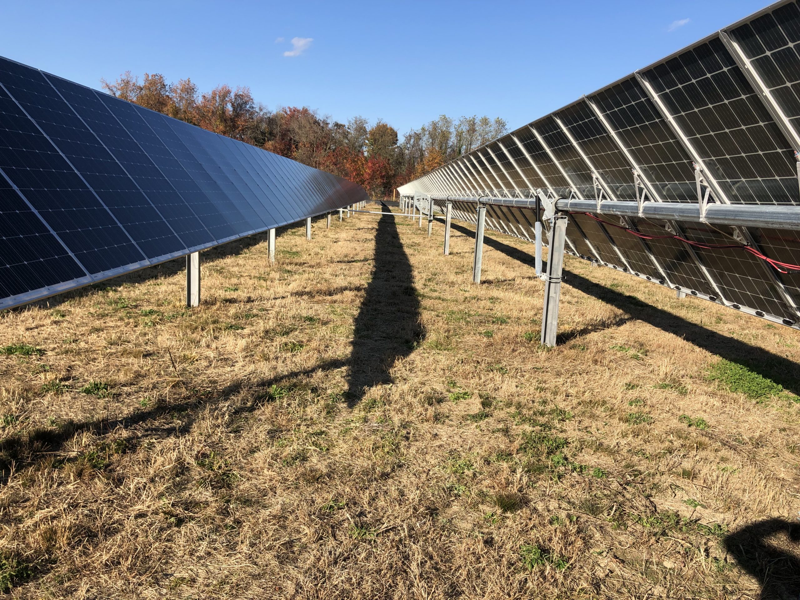 Checkerspot Community Solar Project (named after the local Checkerspot butterfly) in Tracy’s Landing, Maryland,